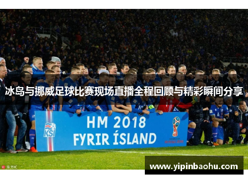 冰岛与挪威足球比赛现场直播全程回顾与精彩瞬间分享